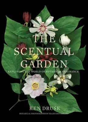 The Scentual Garden: Explorarea lumii parfumurilor botanice - The Scentual Garden: Exploring the World of Botanical Fragrance