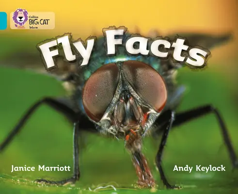 Fapte despre zbor - Fly Facts