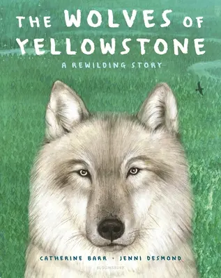 Lupii din Yellowstone: O poveste de refacere a sălbăticiei - The Wolves of Yellowstone: A Rewilding Story