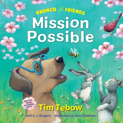 Bronco și prietenii: Misiune posibilă - Bronco and Friends: Mission Possible