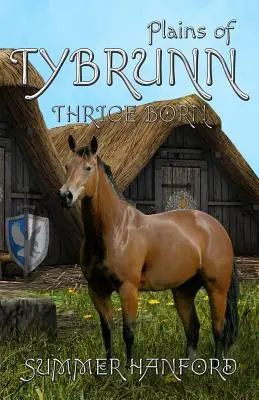 Câmpiile din Tybrunn - Plains of Tybrunn