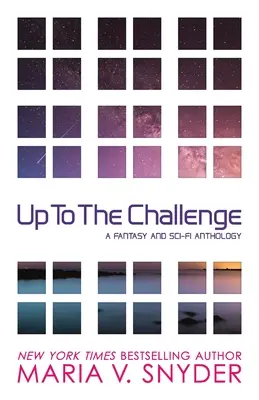 La înălțimea provocării - Up to the Challenge