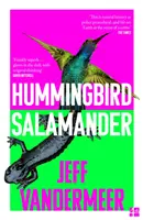 Colibri Salamandră - Hummingbird Salamander
