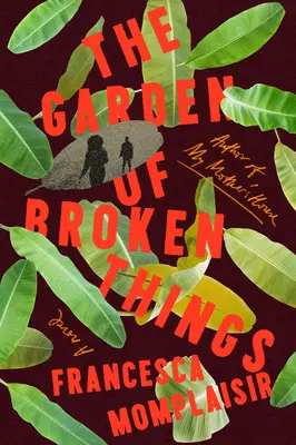 Grădina lucrurilor rupte (The Garden of Broken Things) - The Garden of Broken Things