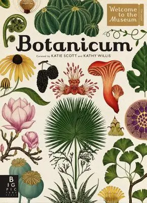 Botanicum: Bine ați venit la muzeu - Botanicum: Welcome to the Museum
