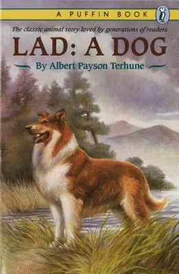 Lad: Un câine - Lad: A Dog