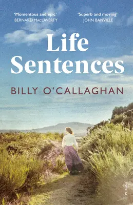 Life Sentences - bestsellerul irlandez de neuitat - Life Sentences - the unforgettable Irish bestseller