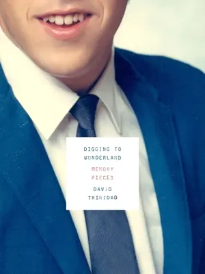 Digging to Wonderland: Bucăți de memorie - Digging to Wonderland: Memory Pieces