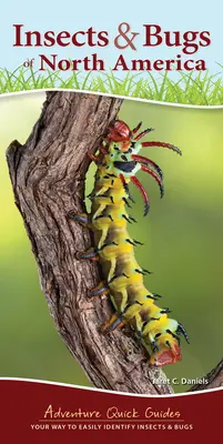 Insecte și gândaci din America de Nord: Modul tău de a identifica cu ușurință insectele și gândacii - Insects & Bugs of North America: Your Way to Easily Identify Insects & Bugs