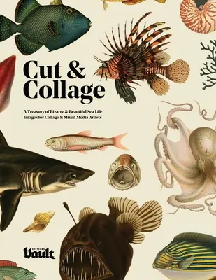 Decupaj și colaj - Cut and Collage