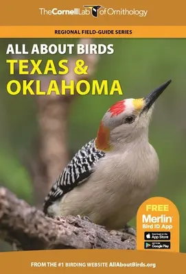Totul despre păsări Texas și Oklahoma - All about Birds Texas and Oklahoma