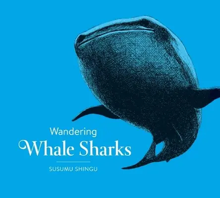 Rechini balenă rătăcitori - Wandering Whale Sharks