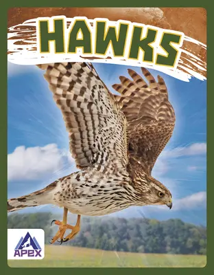 Șoimii - Hawks