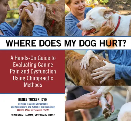 Unde mă doare câinele meu: Găsiți sursa problemelor de comportament sau a durerii: un ghid practic - Where Does My Dog Hurt: Find the Source of Behavioral Issues or Pain: A Hands-On Guide