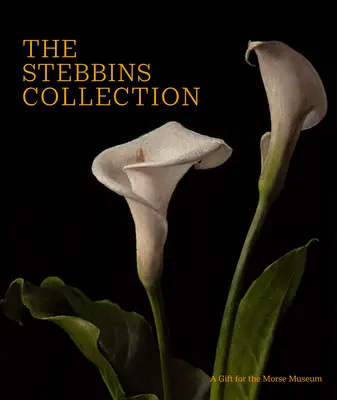 Colecția Stebbins: Un cadou pentru Muzeul Morse - The Stebbins Collection: A Gift for the Morse Museum