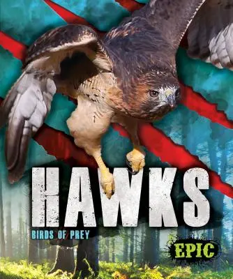 Șoimii: păsări de pradă - Hawks: Birds of Prey