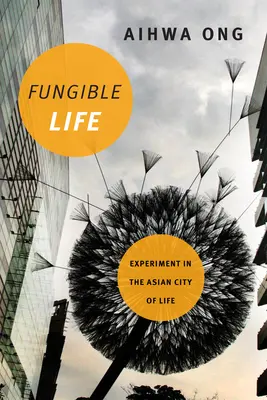 Viața fungibilă: Experiment în orașul asiatic al vieții - Fungible Life: Experiment in the Asian City of Life