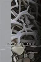 Începutul traseului - The Trailhead