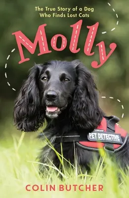 Molly: Povestea adevărată a câinelui care salvează pisicile pierdute - Molly: The True Story of the Dog Who Rescues Lost Cats