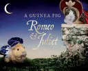Porcușorul de Guineea Romeo și Julieta - Guinea Pig Romeo & Juliet