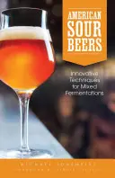 Bere acrișoară americană - American Sour Beer