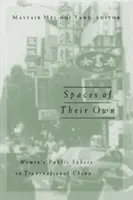 Spaces of Their Own, 4: Sfera publică a femeilor în China transnațională - Spaces of Their Own, 4: Women's Public Sphere in Transnational China