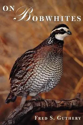 Despre Bobwhites - On Bobwhites