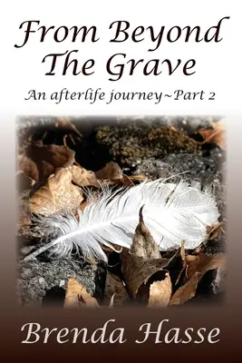 De dincolo de mormânt: O călătorie după moarte, partea 2 - From Beyond The Grave: An afterlife journey Part 2