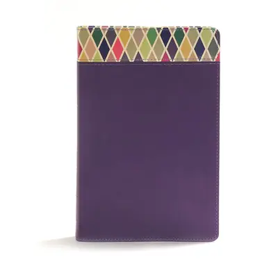 Biblia de studiu CSB Rainbow, Purple Leathertouch - CSB Rainbow Study Bible, Purple Leathertouch
