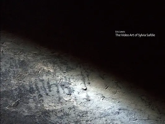 Arta video a Sylviei Safdie - The Video Art of Sylvia Safdie