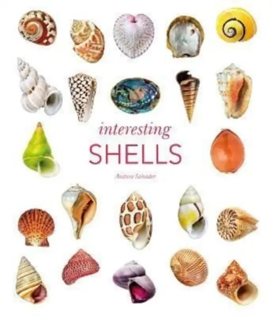 Scoici interesante - Interesting Shells