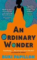 Ordinary Wonder - Ficțiune sfâșietoare și fermecătoare de maturizare despre dragoste, pierdere și asumarea riscurilor - Ordinary Wonder - Heartbreaking and charming coming-of-age fiction about love, loss and taking chances