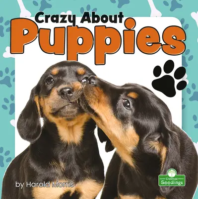 Nebun după căței - Crazy about Puppies