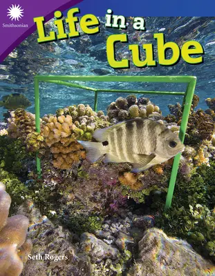 Viața într-un cub - Life in a Cube