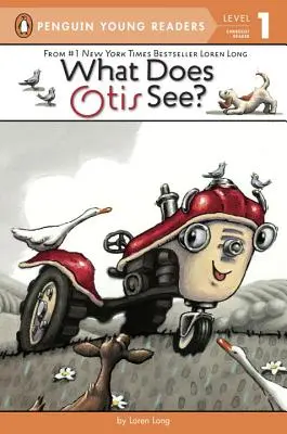 Ce vede Otis? - What Does Otis See?
