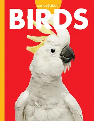 Curiozități despre păsări - Curious about Birds