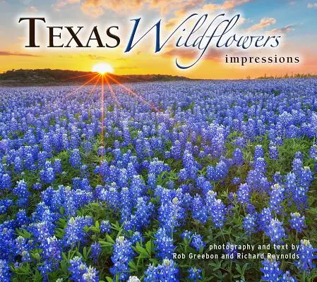 Impresii despre florile sălbatice din Texas - Texas Wildflowers Impressions