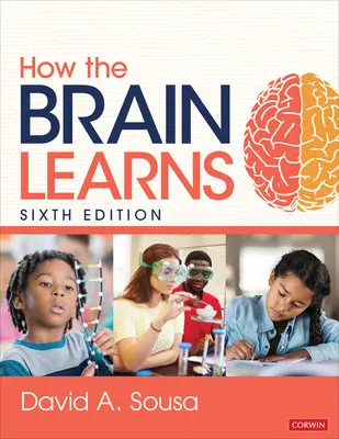 Cum învață creierul - How the Brain Learns