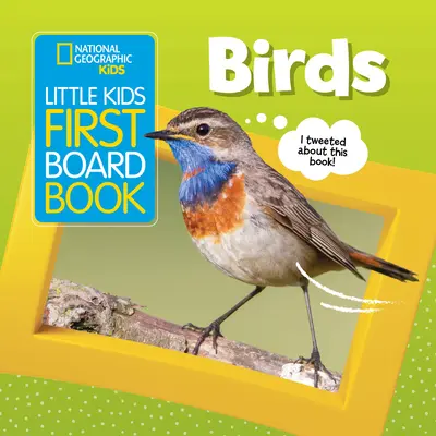 Little Kids First Board Book: Păsări - Little Kids First Board Book: Birds