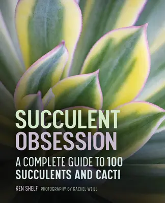 Obsesia suculentelor: Un ghid complet - Succulent Obsession: A Complete Guide