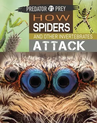 Predator vs Prey: Cum atacă păianjenii și alte nevertebrate! - Predator Vs Prey: How Spiders and Other Invertebrates Attack!