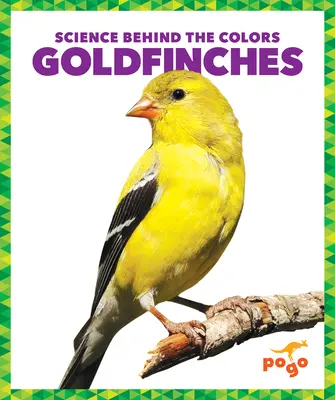 Gaițele - Goldfinches