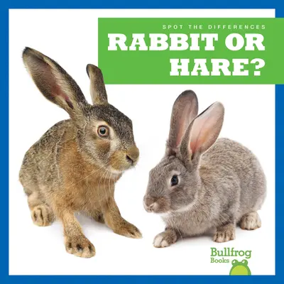 Iepure sau iepure? - Rabbit or Hare?