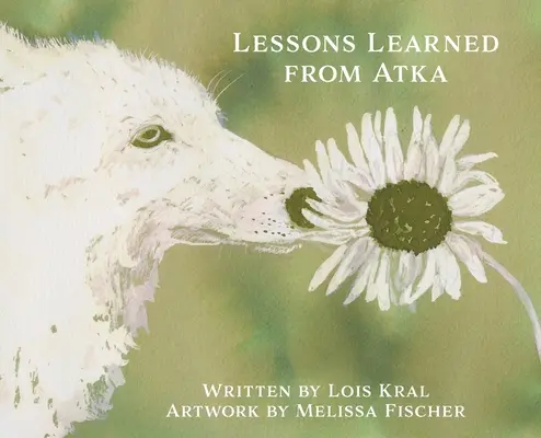 Lecții învățate de la Atka - Lessons Learned from Atka