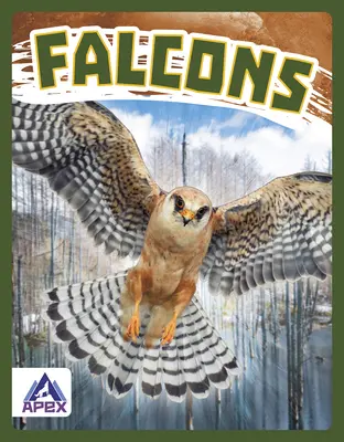 Șoimii - Falcons