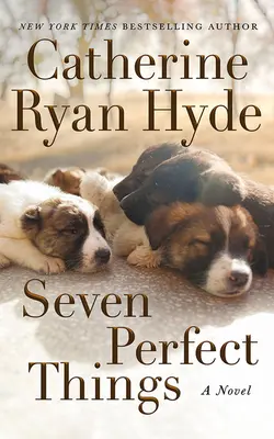 Șapte lucruri perfecte - Seven Perfect Things