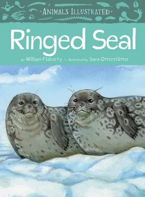 Animale ilustrate: Foca inelată - Animals Illustrated: Ringed Seal