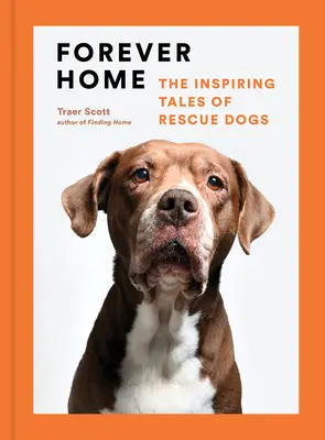 Forever Home: Poveștile inspirate ale câinilor de salvare (Forever Home: The Inspiring Tales of Rescue Dogs) - Forever Home: The Inspiring Tales of Rescue Dogs