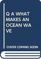 Q A CE FACE UN VAL OCEANIC - Q A WHAT MAKES AN OCEAN WAVE