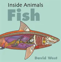 Inside Animals: Pești - Inside Animals: Fish